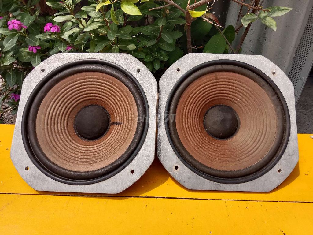 Bán cặp loa bass Nhật 25 cm loa đang hát tốt