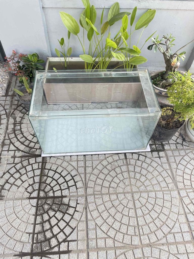 Hồ cá Kính 75x40x45cm 5ly. Mua bán Phụ kiện, Thức ăn, Dịch vụ tại Quận Liên Chiểu Đà Nẵng được đăng bởi Thịnh Pro hình 1