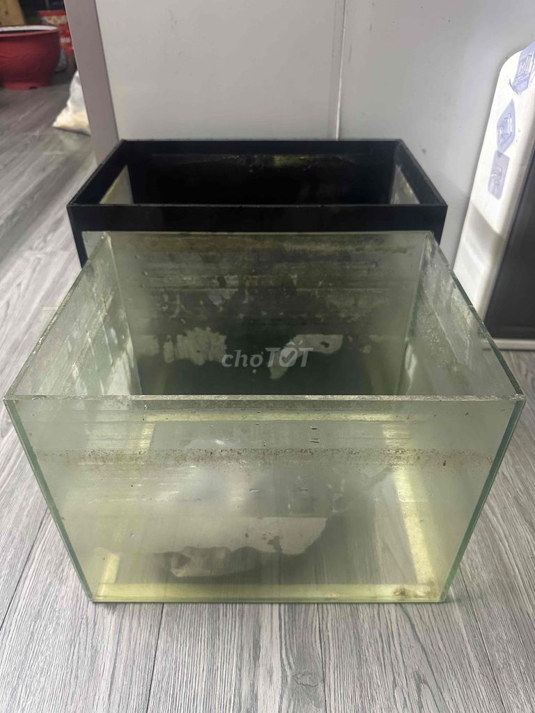 Hồ cá Kính có Máy lọc, đá, lũa. Mua bán Phụ kiện, Thức ăn, Dịch vụ tại Thành phố Sóc Trăng Sóc Trăng được đăng bởi Dũng hình 1