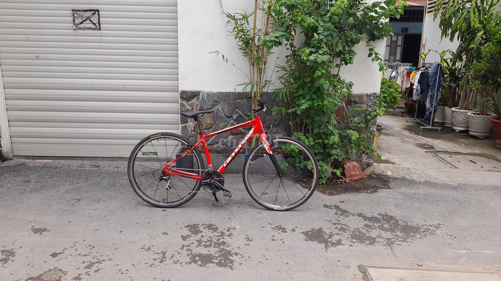 XE TOURING 700C  MỸ CANNONDALE, PUỘC CARBON  /2020