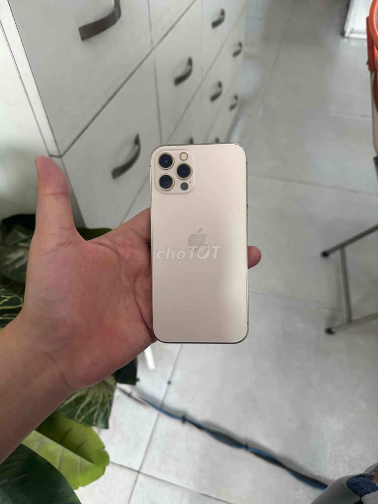 Apple iPhone 12 Pro 256GB Vàng Đã sử dụng. Mua bán Điện thoại tại Quận Gò Vấp Tp Hồ Chí Minh được đăng bởi Tony Mobile hình 1