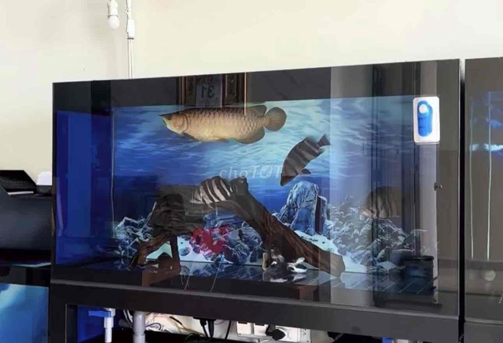 Bối full tụt body con heo. Mua bán Thú cưng khác tại Quận 8 Tp Hồ Chí Minh được đăng bởi Trần Vĩnh Khang hình 1