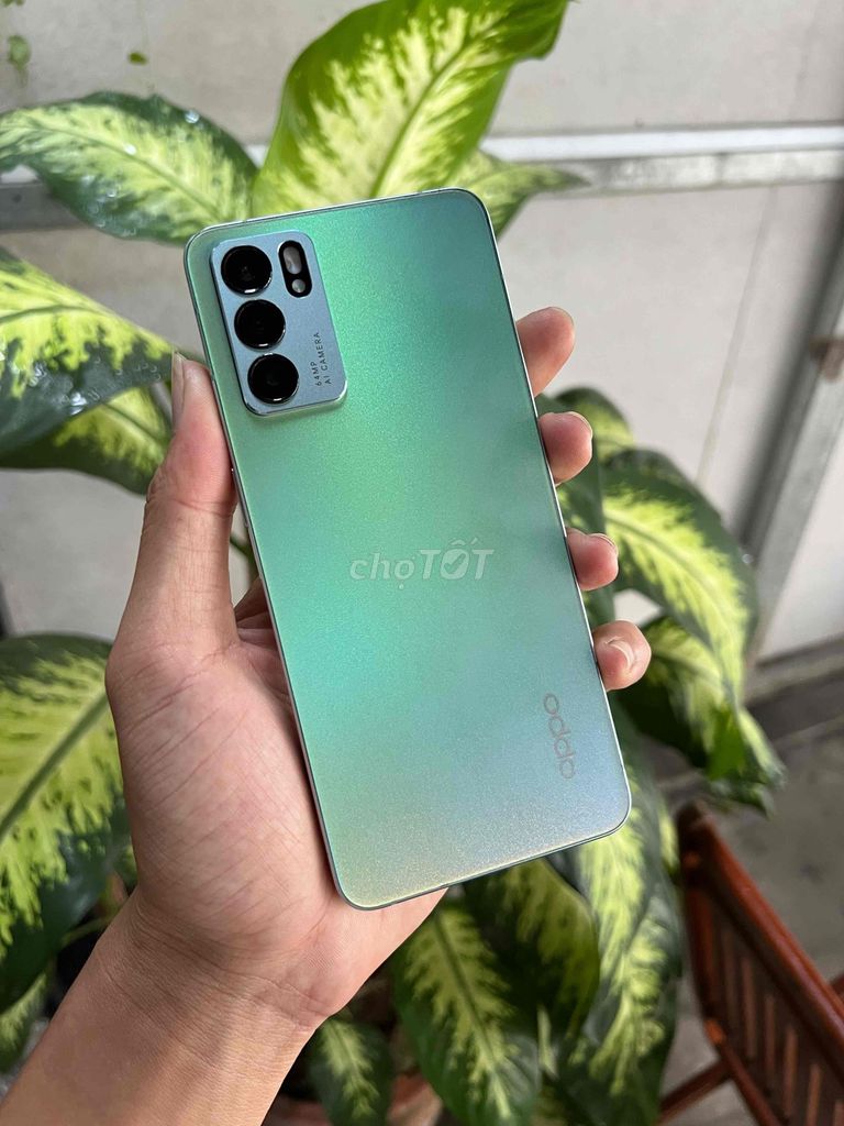 OPPO Reno 6 Ram8/128Gb Zin - Màn Amoled 90Hz đẹp. Mua bán Điện thoại tại Quận Ninh Kiều Cần Thơ được đăng bởi TP Store hình 1