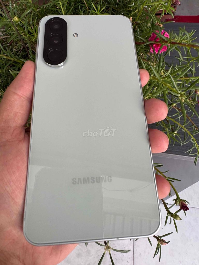 Samsung A56 5G 256GB ZIN đẹp 99. BH TGDĐ 4 thang. Mua bán Điện thoại tại Quận Ninh Kiều Cần Thơ được đăng bởi phan Nhân  hình 1