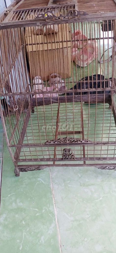 Lồng chim Gỗ Nâu. Mua bán Chim tại Huyện Nhà Bè Tp Hồ Chí Minh được đăng bởi Thông  hình 1