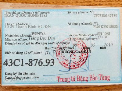 BÁN XE SH 125CC. ĐK 2019. Mua bán Xe máy tại Thị xã Ayun Pa Gia Lai được đăng bởi Q Hung real