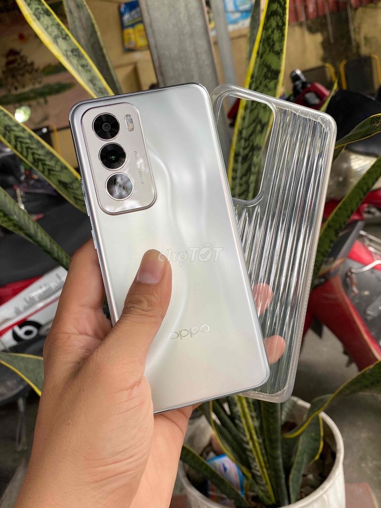 OPPO Reno 12 5G VN keng zin có ship/GL