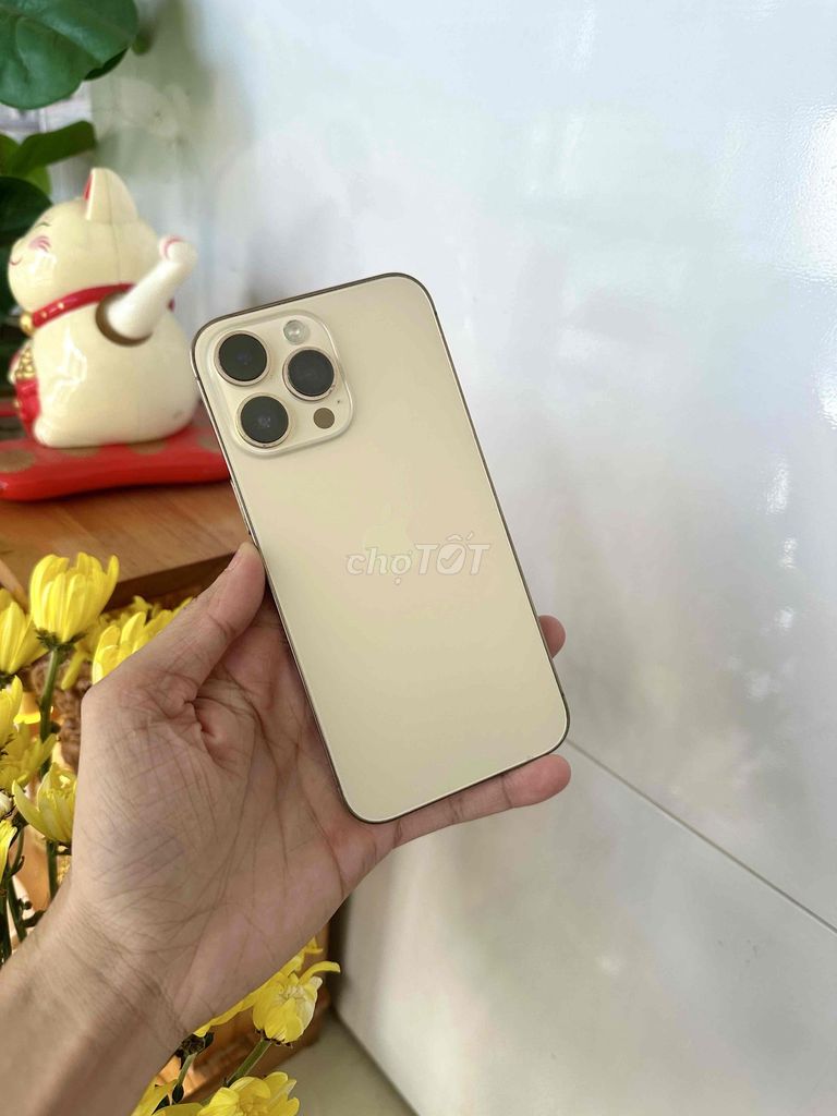 Apple iPhone 14 Pro Max 256GB 2 sim vật lý. Mua bán Điện thoại tại Thành phố Long Xuyên An Giang được đăng bởi phong LX  hình 1