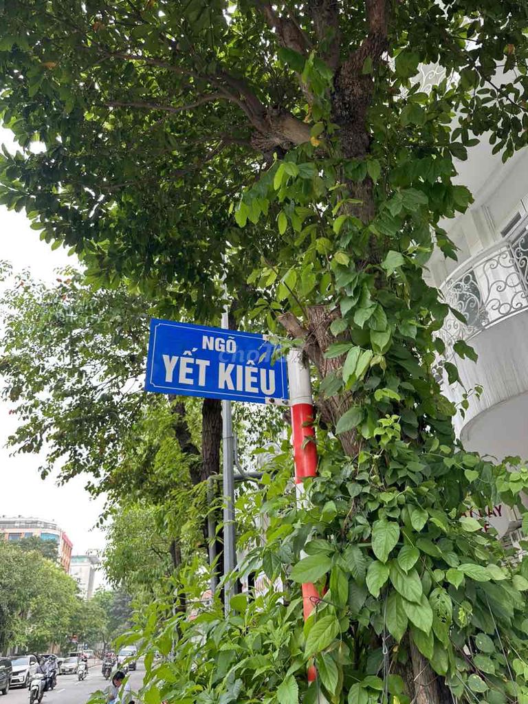 Bán nhà ngõ Yết Kiêu phường cửa nam quận hoàn kiếm Hà Nội. Nhà xây dựn
