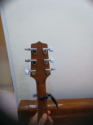 Đàn guitar đã qua sử dụng.Takamine D1N- NS