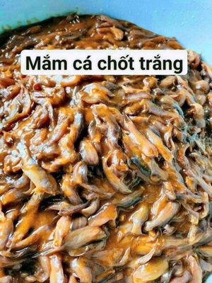 mắm cá chốt. Mua bán Đồ ăn, thực phẩm và các loại khác tại Huyện Tri Tôn An Giang được đăng bởi võ thị trúc phương