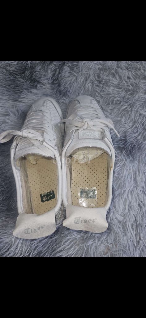 Giày tiger size 44