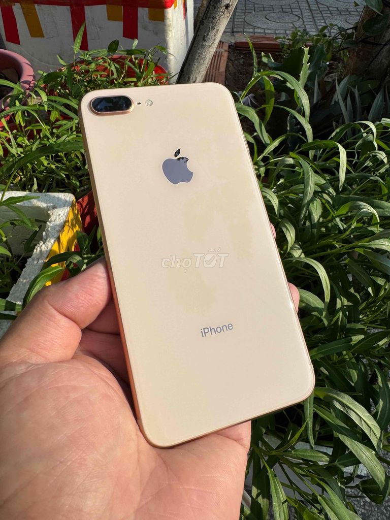 Apple iPhone 8 Plus 64GB ( icloud sạch chính chủ). Mua bán Điện thoại tại Thành phố Thuận An Bình Dương được đăng bởi Hoàng Phúc hình 1