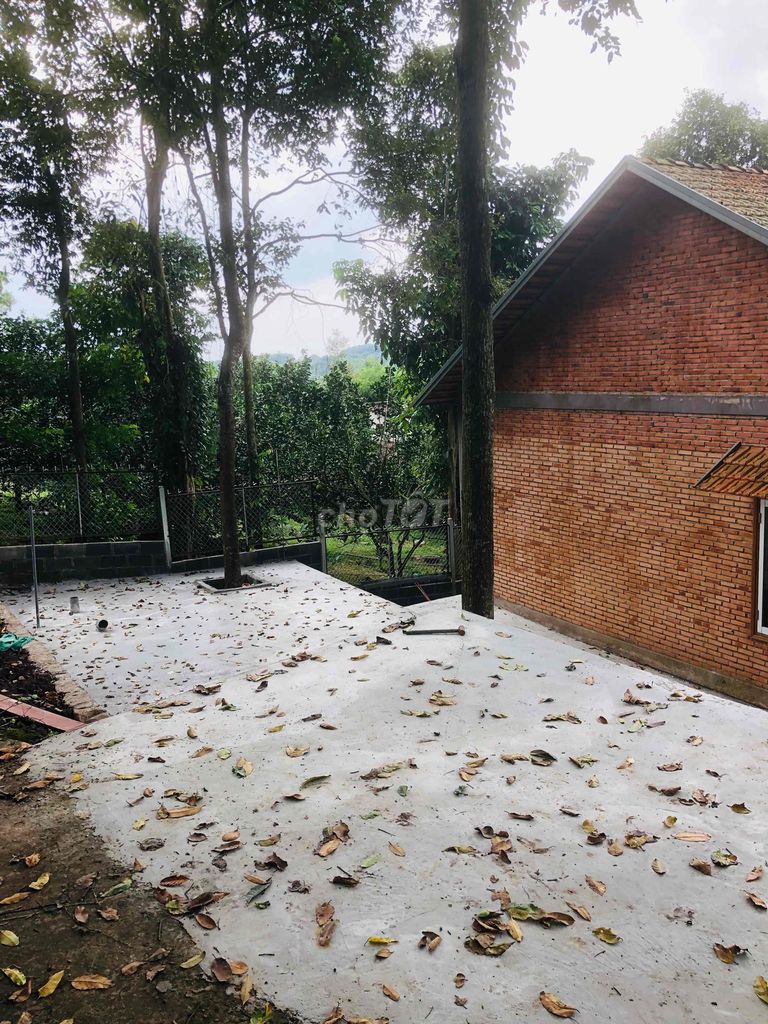 BÁN ĐẤT CĂN NHÀ VƯỜN XUÂN LẬP LONG KHÁNH 2ty3 823m