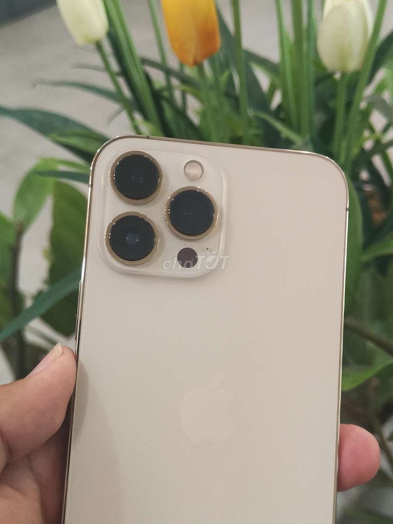 iPhone 13 Pro Max 256GB Vàng Quốc tế gl giao lưu