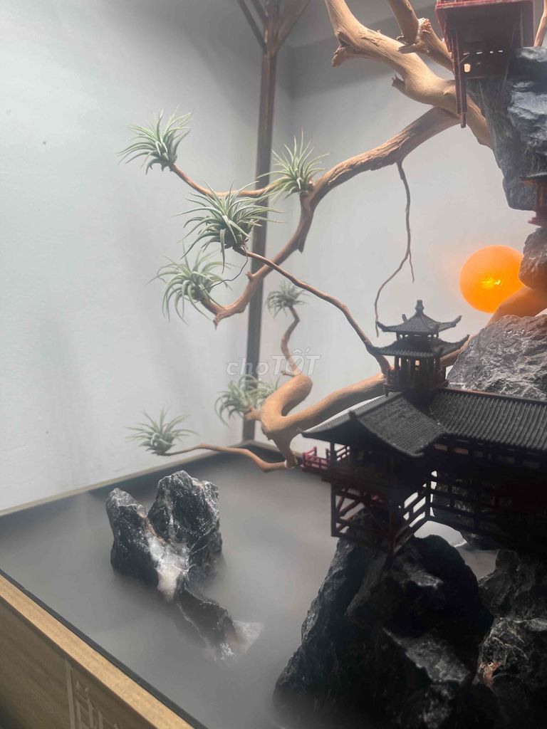 Bể cá cảnh Gỗ Đá Trang trí. Mua bán Cây cảnh, đồ trang trí tại Thành phố Thủ Dầu Một Bình Dương được đăng bởi Taw Trần hình 1