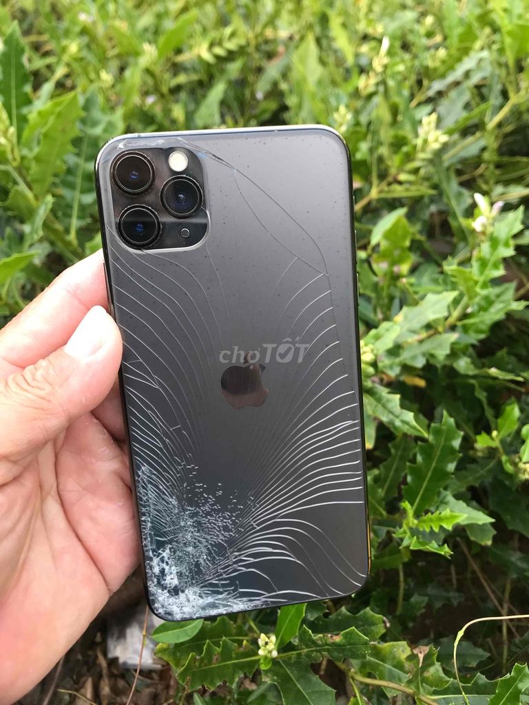 Apple iPhone 11 Pro Max 64GB Xám. Mua bán Điện thoại tại Huyện Hòa Bình Bạc Liêu được đăng bởi saudom hình 1