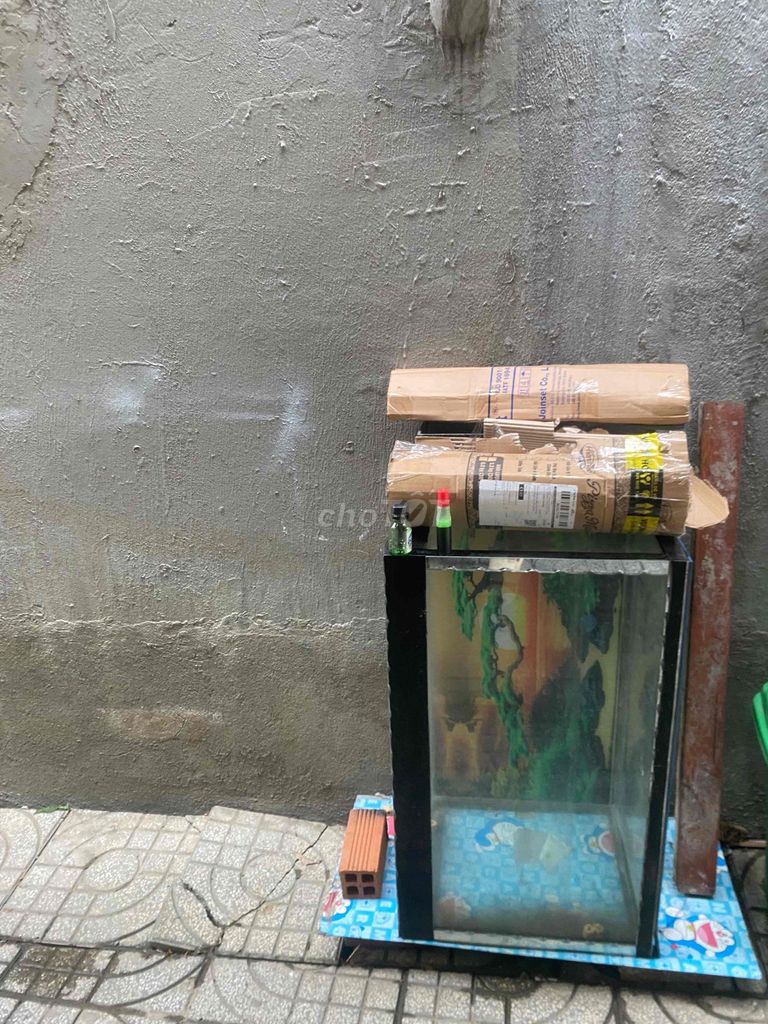 Bể cá cảnh Kính Trong suốt. Mua bán Phụ kiện, Thức ăn, Dịch vụ tại Thành phố Thuận An Bình Dương được đăng bởi Triệu hình 1