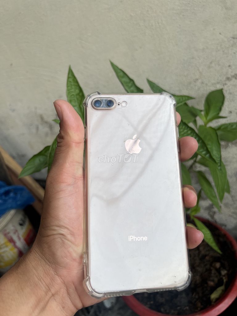 Apple iPhone 8 Plus 64GB Trắng Đã sử dụng. Mua bán Điện thoại tại Quận Bình Thuỷ Cần Thơ được đăng bởi Phạm Nam hình 1