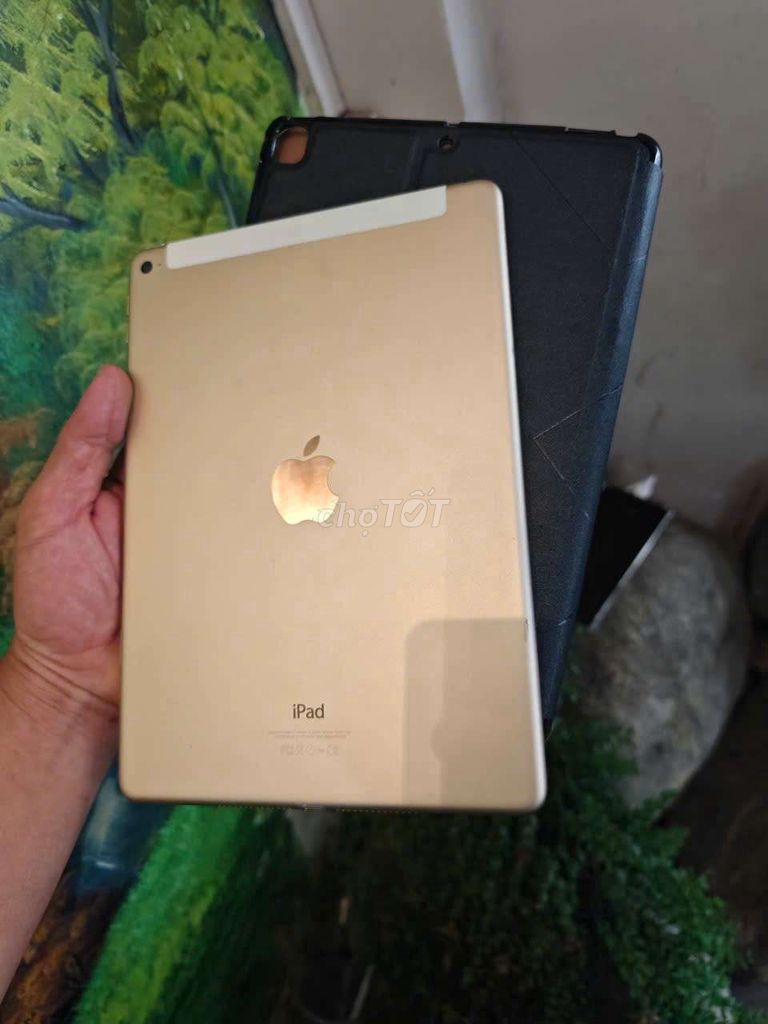 Apple iPad Air 2 64GB Vàng.wifi 4G full zin. Mua bán Máy tính bảng tại Quận 8 Tp Hồ Chí Minh được đăng bởi tuấn hải hình 1
