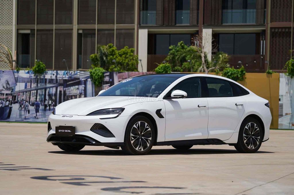 Печать BYD 2024, белая, 17,159 мм
