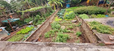 🎯 Bán 44m2 Dục Nội,Rẻ Nhất Việt Hùng,Bao quanh 2 chợ,Gần đường Cao Lỗ. Mua bán đất tại Huyện Đông Anh Hà Nội được đăng bởi LINH DREAMLAND