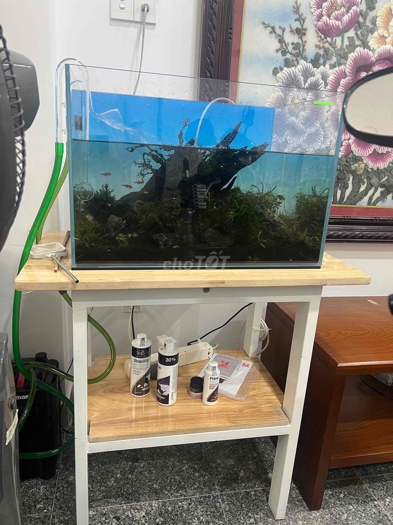 Hồ thủy sinh 60x40x40 cm kèm phụ kiện. Mua bán Thú cưng khác tại Quận 1 Tp Hồ Chí Minh được đăng bởi Nguyễn Hoàng Ân hình 1