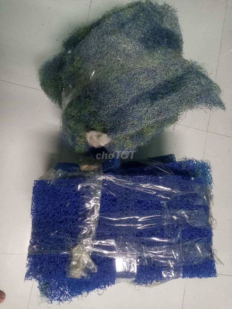 Vật liệu lọc Nhựa Xanh Bể cá cảnh. Mua bán Phụ kiện, Thức ăn, Dịch vụ tại Thành phố Biên Hòa Đồng Nai được đăng bởi lũng Cu hình 1