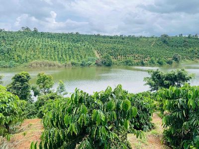 Bán Đất Vướn Thuận An Bám Đập. Mua bán đất tại Huyện Đắk Mil Đắk Nông được đăng bởi Anh Tuấn 