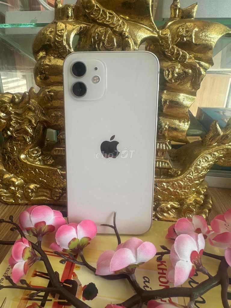 Apple iPhone 12 64GB Trắng. Mua bán Điện thoại tại Thành phố Thuận An Bình Dương được đăng bởi Trần Mạnh hình 1