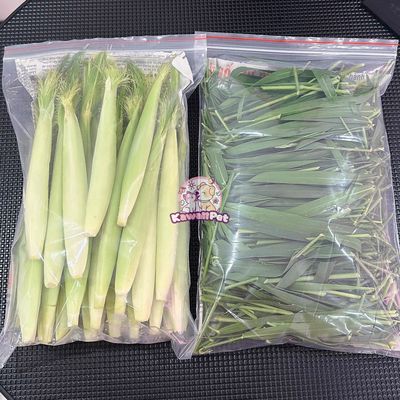 Combo đồ tươi cho bọ ú, thỏ, hamster,.... Mua bán Phụ kiện, Thức ăn, Dịch vụ tại Huyện Hóc Môn Tp Hồ Chí Minh được đăng bởi Kawaii Pet