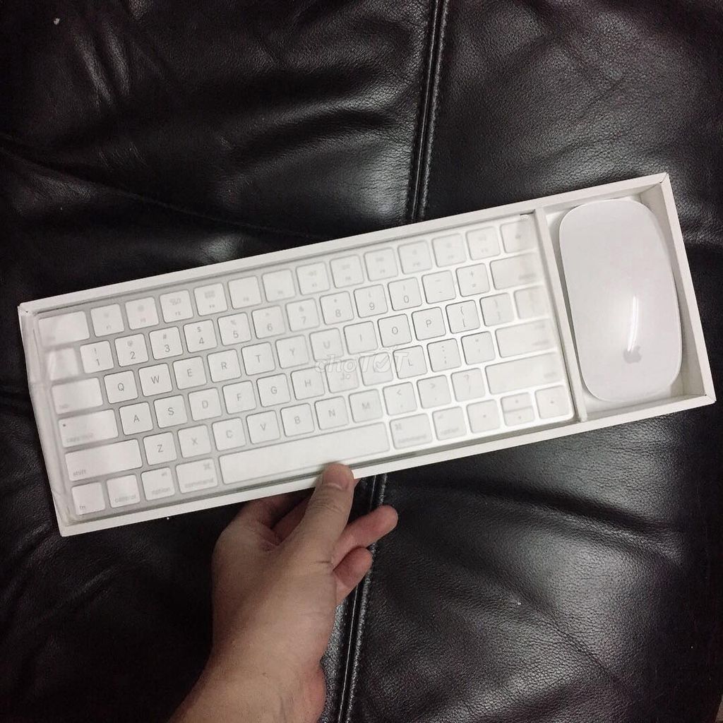 0979318388 - Bộ bàn phím và chuột Apple Magic Mouse, Keyboard 2