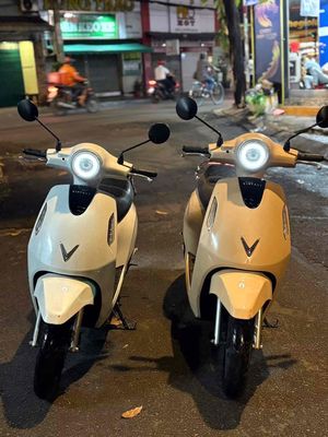 Evo Grand 1.000km Trắng, Nâu