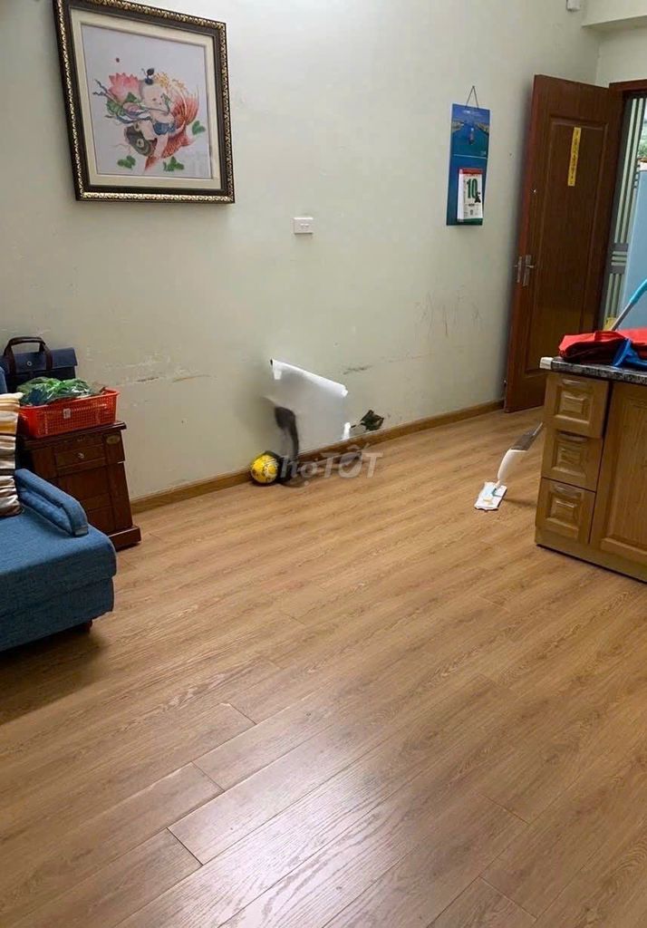 Chính chủ cho thuê chung cư KVKL Tầng 11 Diện tích 48M2. Full nội thất