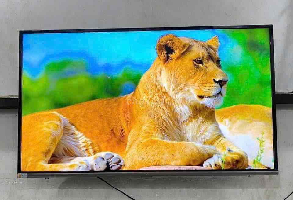 Bán tivi TCL 43 inch Smart mạng nhanh mượt