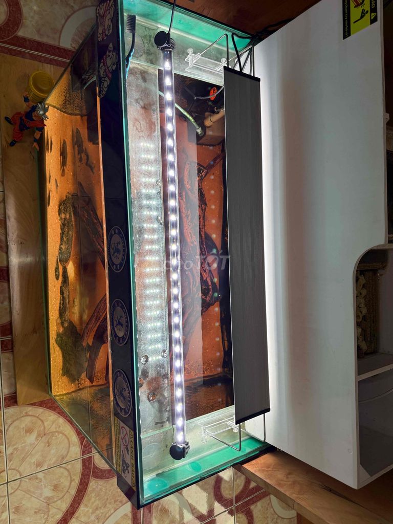2 đèn hồ cá