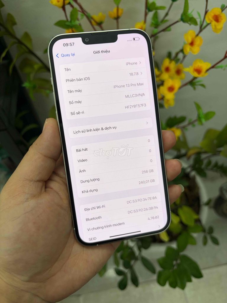 13 promax màn oled mới. Mua bán Điện thoại tại Quận Hà Đông Hà Nội được đăng bởi tuan le hình 1
