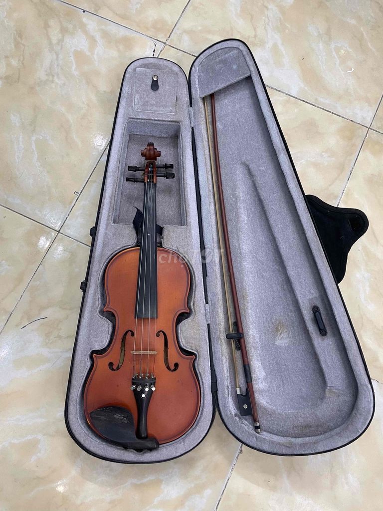 Đàn violin