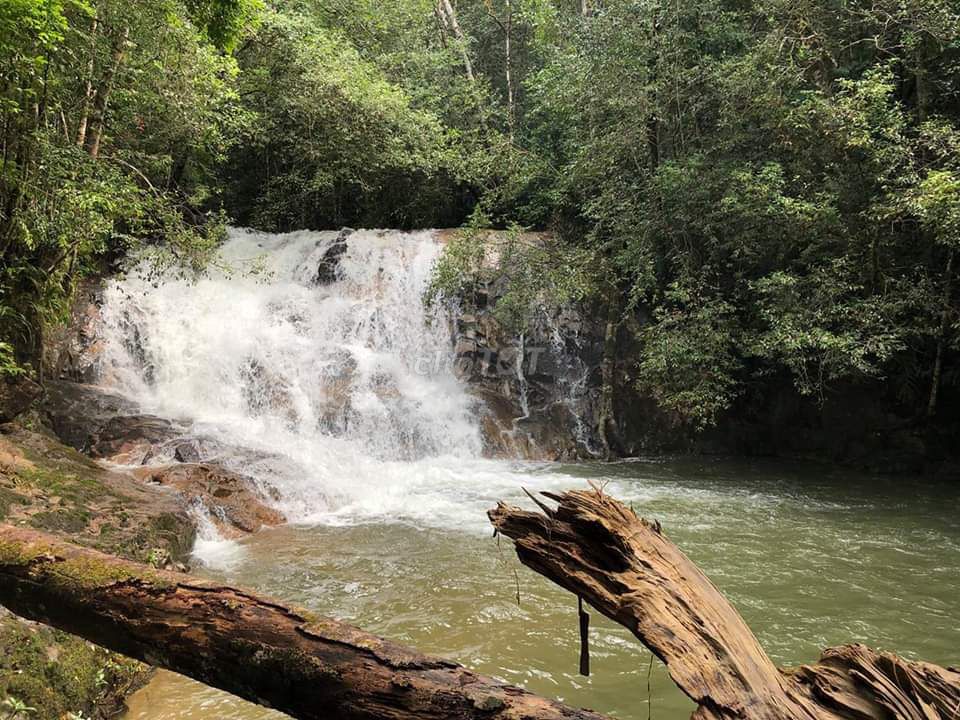 Tour trekking Thác Cổng Trời - Giá ưu đãi hè 2026. Du lịch tại Quận 3 Tp Hồ Chí Minh được đăng bởi Ngo Hoang Long hình 1