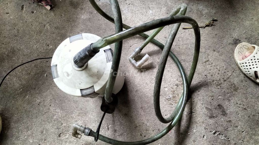 Thanh lý lọc bể cá. Mua bán Phụ kiện, Thức ăn, Dịch vụ tại Thành phố Biên Hòa Đồng Nai được đăng bởi Anh Phúc hình 3