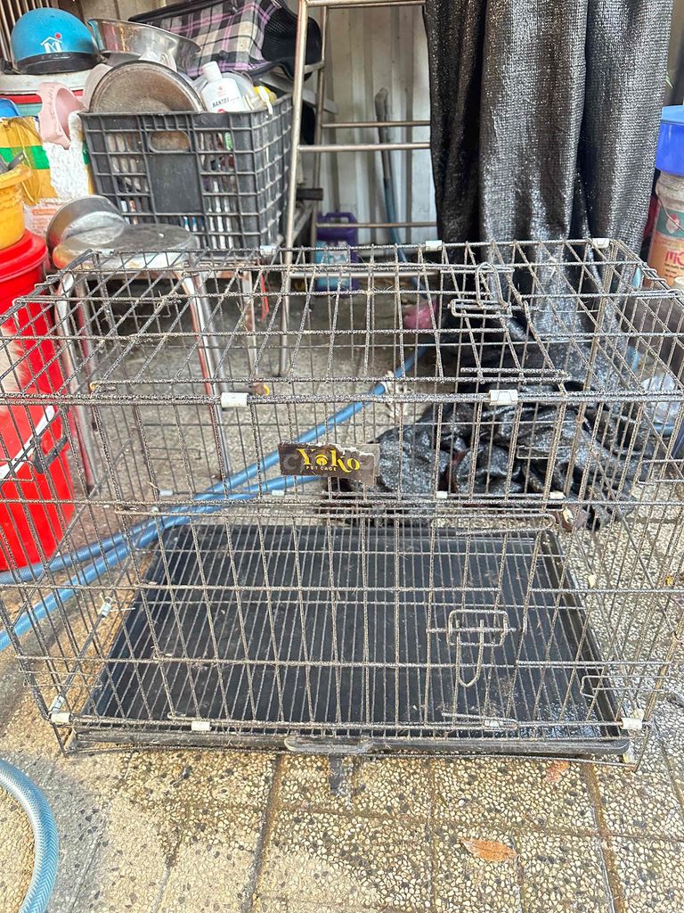 Lồng thú cưng Yoko sơn tĩnh điện 75x50cm Mới. Mua bán Phụ kiện, Thức ăn, Dịch vụ tại Huyện Củ Chi Tp Hồ Chí Minh được đăng bởi Lan Hoang hình 1