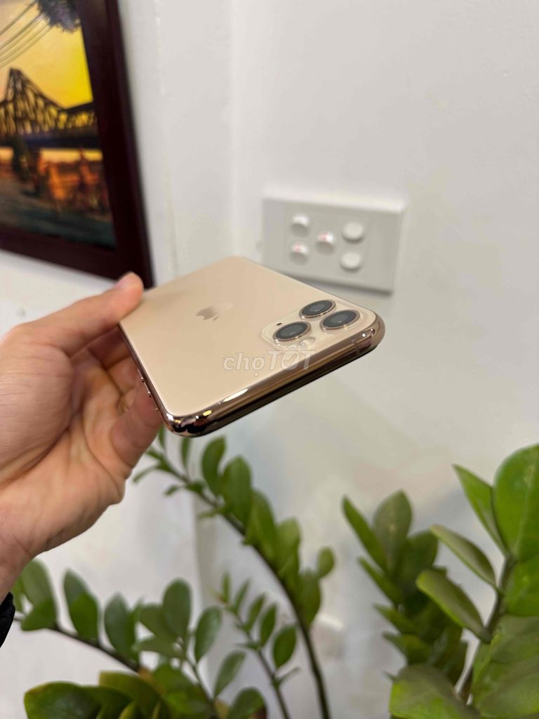 Iphone 11 Pro Gold 256gb Q.tế