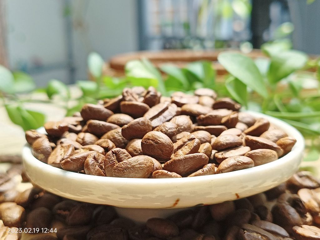 cà phê hạt pha máy tại quận 12-tp hồ chí minh. Mua bán Đồ ăn, thực phẩm và các loại khác tại Quận 12 Tp Hồ Chí Minh được đăng bởi khanhcafe hình 1