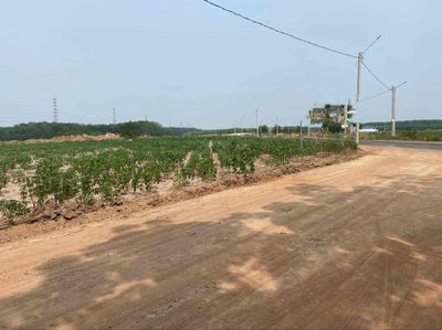 CHÍNH CHỦ CẦN BÁN MẢNH ĐẤT VƯỜN BÌNH DƯƠNG. Mua bán đất tại Huyện Bắc Tân Uyên Bình Dương được đăng bởi Thanh Quý 