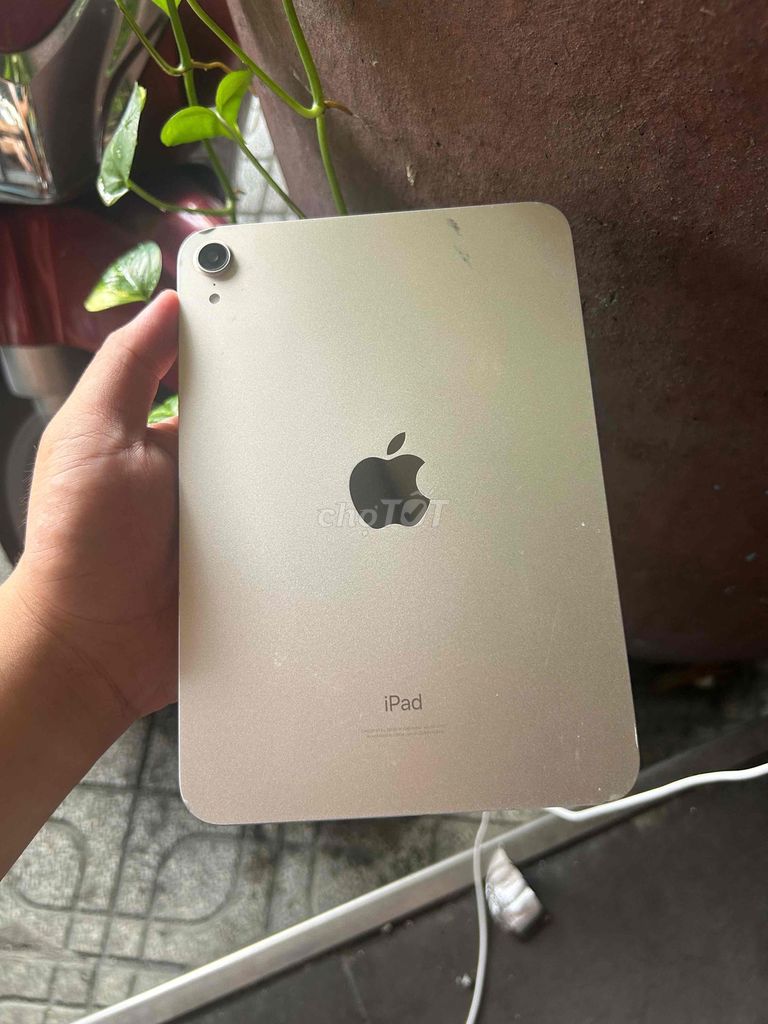 Apple iPad Mini 6 Vàng Đã sử dụng. Mua bán Máy tính bảng tại Quận Gò Vấp Tp Hồ Chí Minh được đăng bởi Trí Lock  hình 1