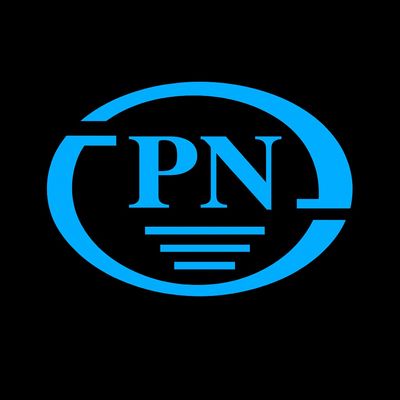 Công ty tnhh thương mai dv điện nước phương nam logo