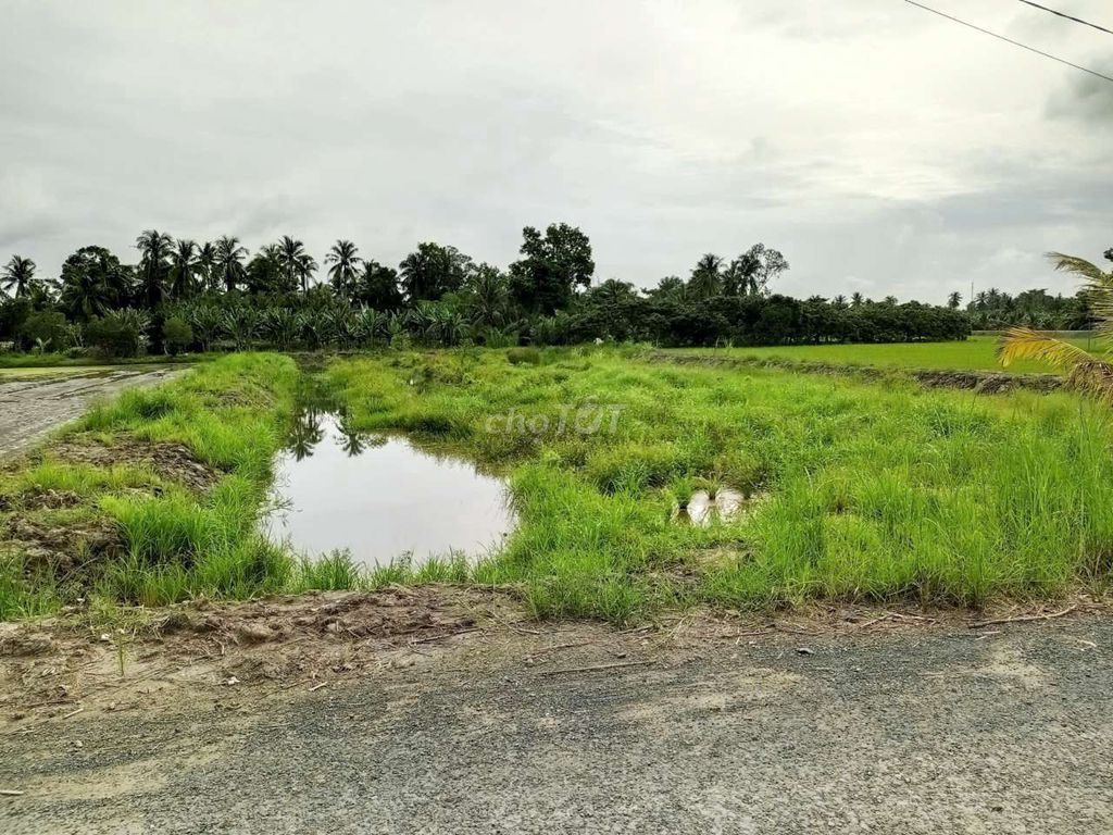 bán đất chính chủ 