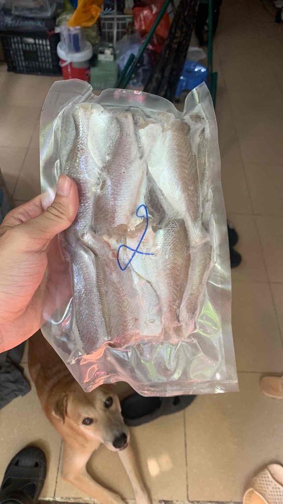 Cá đù một nắng Cần Giờ bịch 500g. Mua bán Đồ ăn, thực phẩm và các loại khác tại Quận 3 Tp Hồ Chí Minh được đăng bởi Nguyễn Văn hình 1