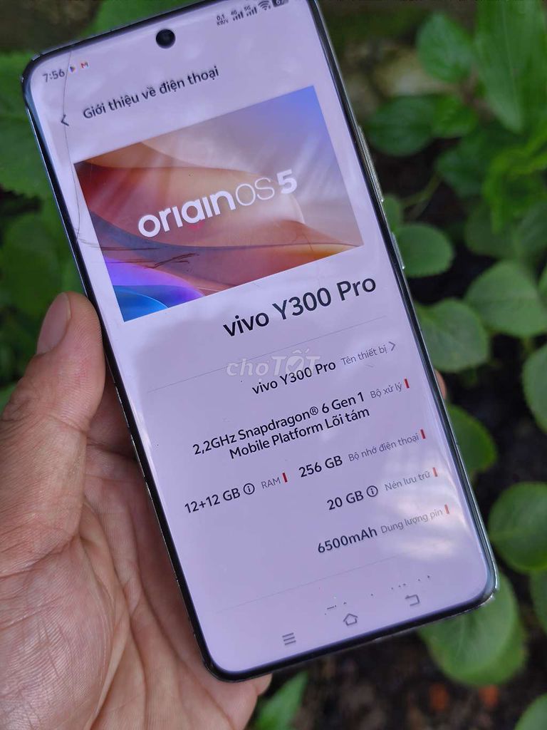 Vivo Y300 Pro 256GB Trắng 12+12GB. Mua bán Điện thoại tại Thị xã Tân Uyên Bình Dương được đăng bởi Được hình 1