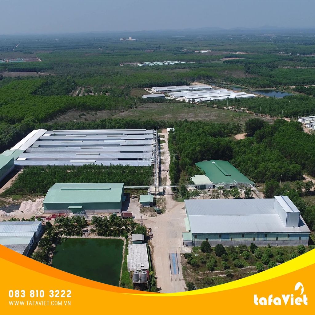 Nhân viên Chăn nuôi - 25 NV - Đức Linh, Bình Thuận. Việc làm Công việc khác tại Huyện Đức Linh Bình Thuận được đăng bởi Tuyết Nhung Lê hình 1